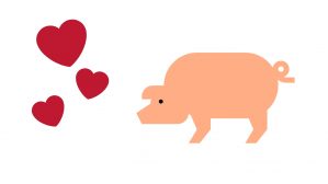 cerdo y amor 2019