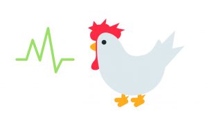 gallo y salud
