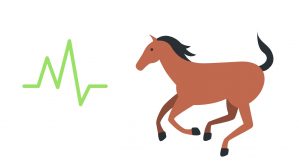 caballo y salud 2019